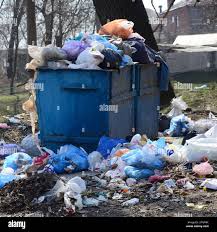 Best Dumpster Rental Services  in Elfers, FL
