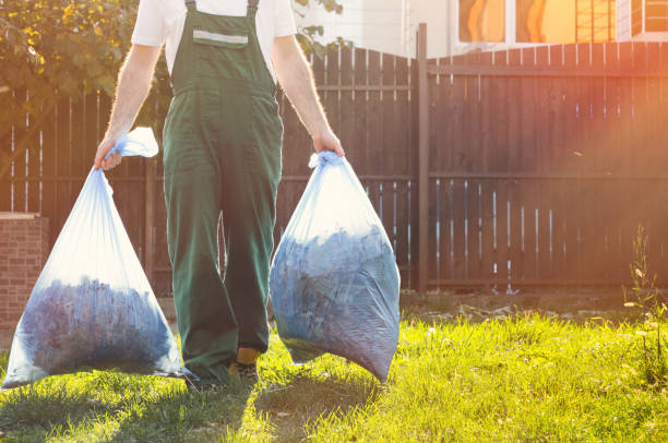 Professional Junk Removal Services in Elfers, FL